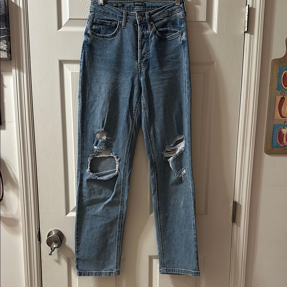 Wild Fable Distressed Blue Jeans (2)
